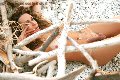 Foto Hot Tentazioni Trans Villa Rosa Giselly Bella - 13
