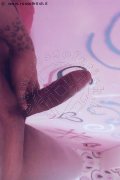 Foto Hot Tentazioni Transescort Porto Luana Sereia - 1