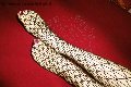 Foto Tentazioni Mistress Imperia Dottoressa De Sade - 40