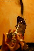 Foto Tentazioni Mistress Marina Di Carrara Lady De Sade Italy - 22