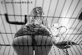 Foto Tentazioni Mistress Verona Lady Giuliette - 13