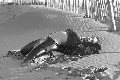 Foto Tentazioni Trans Londra Raissa Marques - 129