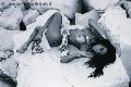 Foto Tentazioni Trans Milano Sabrina Hemolly - 83