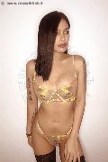Foto Tentazioni Trans Padova Akita Trans Asiatica - 11
