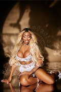 Foto Tentazioni Trans Padova Campbell - 148