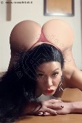 Foto Tentazioni Trans Reggio Emilia Clarissa Ribeiro - 75