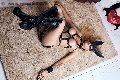 Foto Tentazioni Trans Roma Bruna Mor - 142