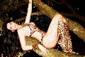 Foto Tentazioni Trans Roma Raphaella Ferrari Pornostar - 161