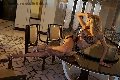 Foto Tentazioni Trans Roma Rebecca Ferraz Pornostar - 14
