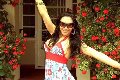 Foto Tentazioni Transescort Leiria Ivana Spears Pornostar - 69