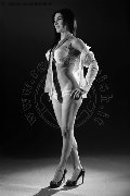 Foto Tentazioni Transescort Malta Erika Jolly - 2