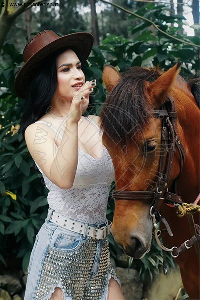 Foto Tentazioni Trans Bianca Lady Boy  393 2233064