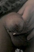Foto Hot Tentazioni Trans Cassano Delle Murge Monique - 28