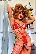 Foto Hot Tentazioni Trans Milano Stella - 5